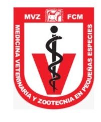 Invitación Inicio de Curso